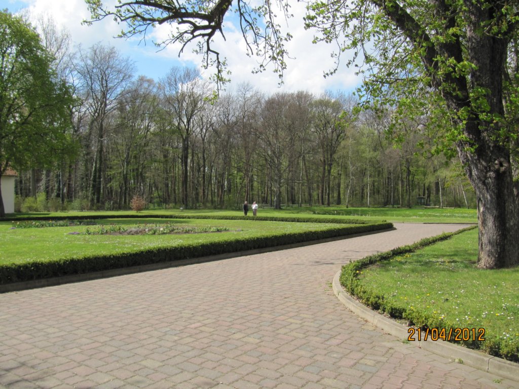 photo31.jpg